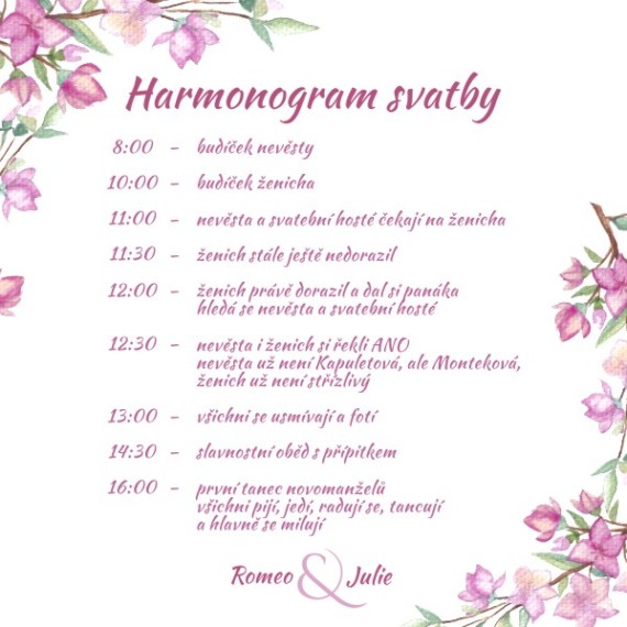 ct-harmonogram-228