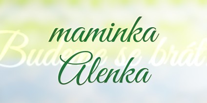jmenovka-karta-351