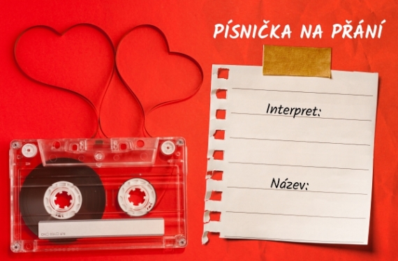 pisnicka-prani-11