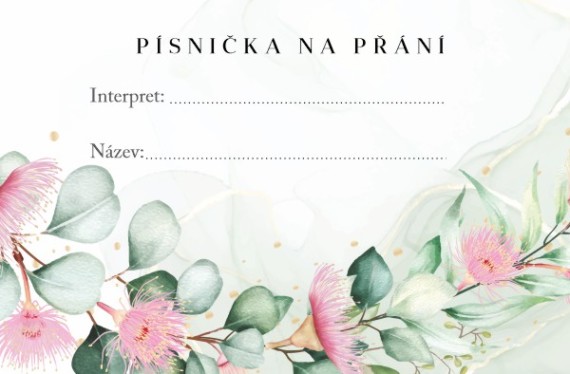 pisnicka-prani-27